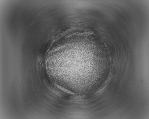 X0000061730182200512161632