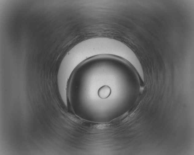 X0000061730184200512161632