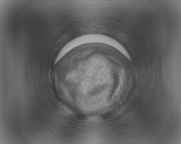 X0000061730185200512161632