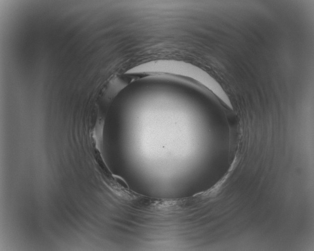 X0000061730186200512161632