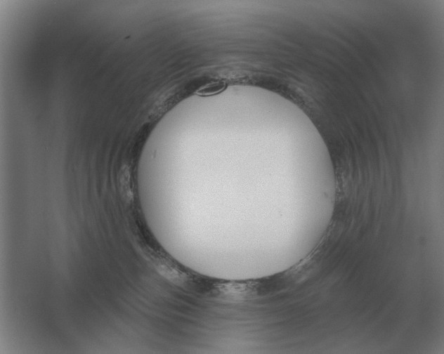 X0000061730187200512161632