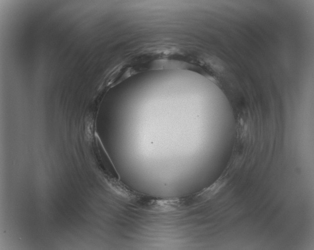 X0000061730188200512161632