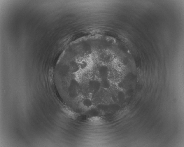 X0000061730189200512161632