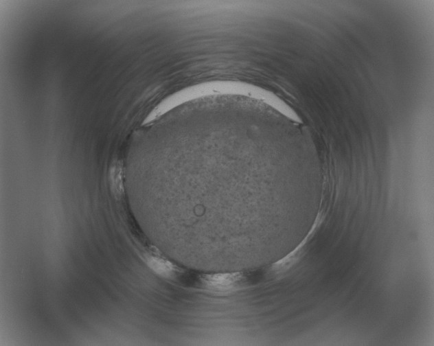 X0000061730191200512161632