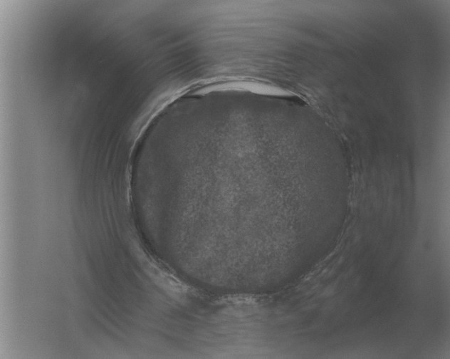 X0000061730194200512161631