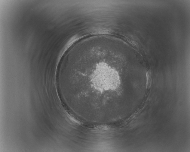 X0000061730195200512161631