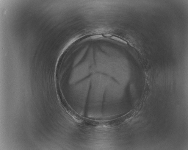 X0000061730196200512161631