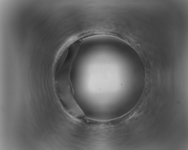 X0000061730197200512161631