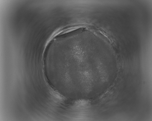 X0000061730198200512161631