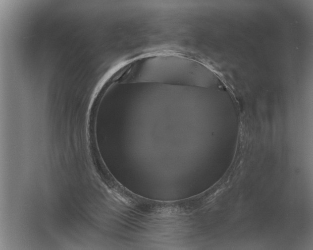 X0000061730200200512161631