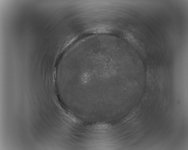 X0000061730202200512161631