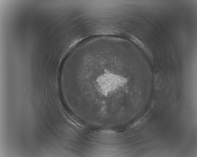 X0000061730203200512161631