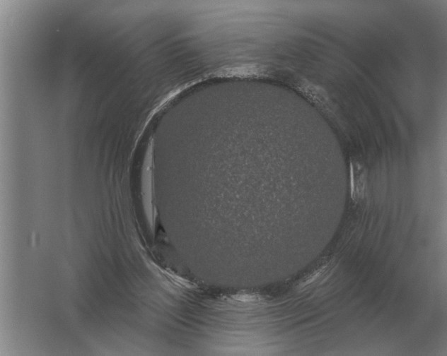 X0000061730204200512161631