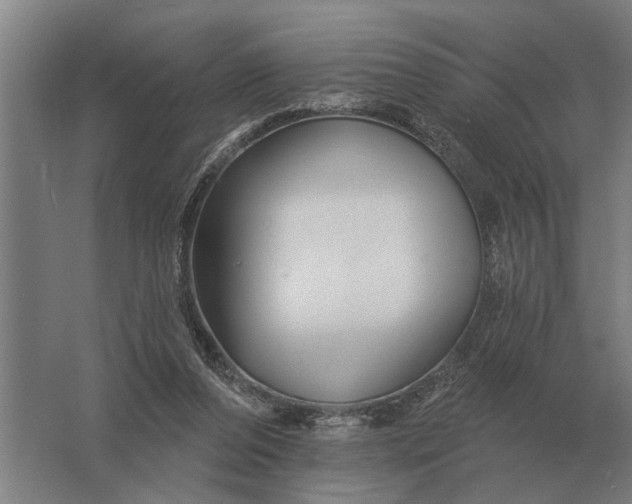 X0000061730208200512161631