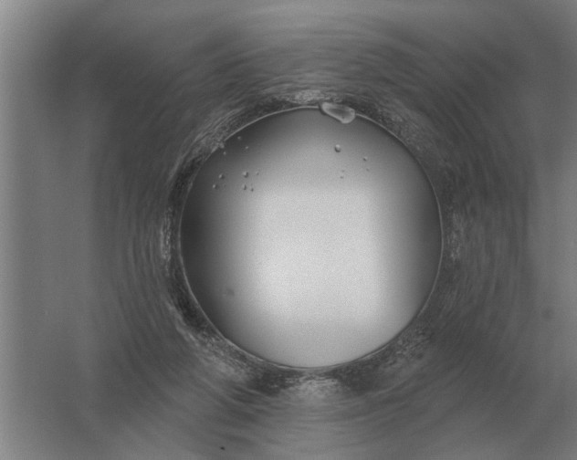 X0000061730210200512161631