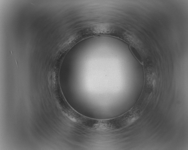 X0000061730211200512161631