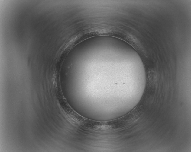 X0000061730212200512161631