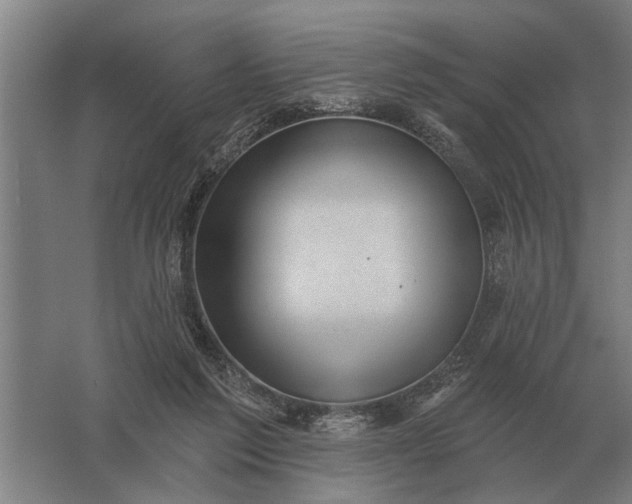 X0000061730213200512161631