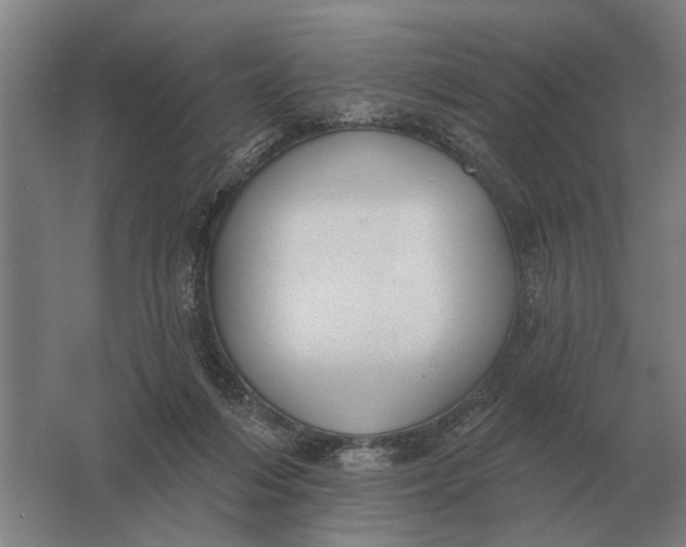 X0000061730216200512161631