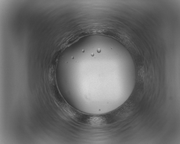 X0000061730218200512161631