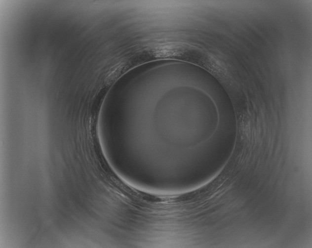 X0000061730219200512161631