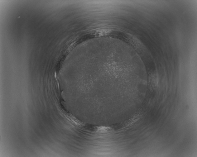 X0000061730222200512161631