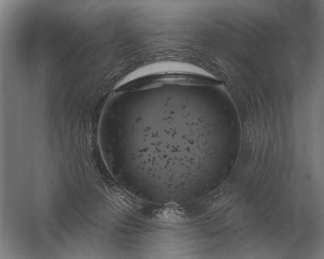 X0000061730223200512161631