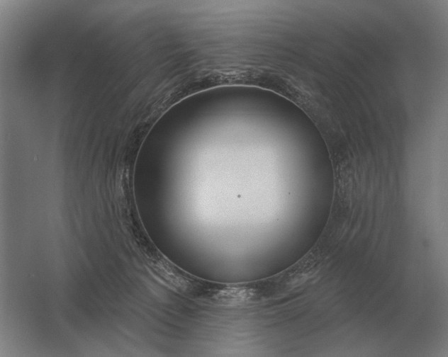 X0000061730225200512161631