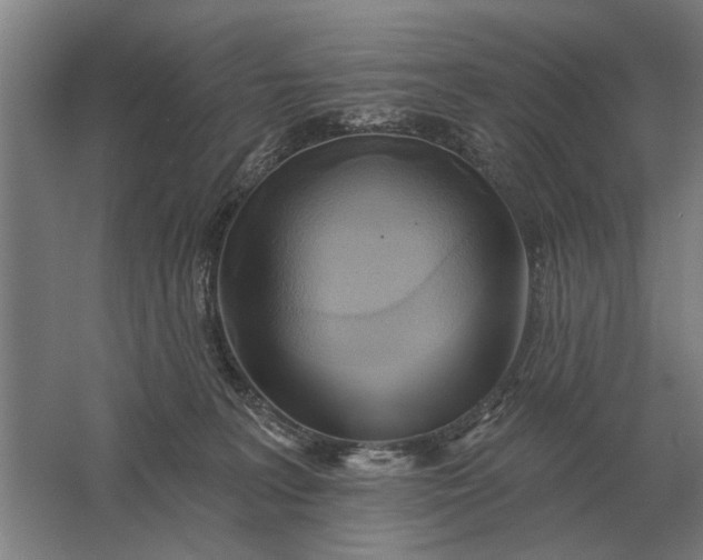 X0000061730227200512161631