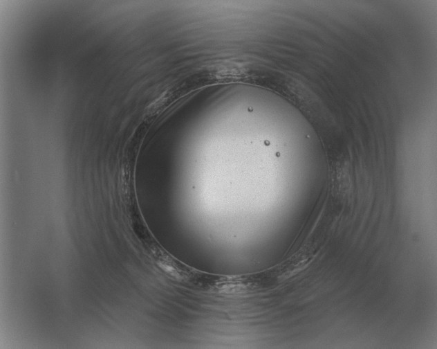 X0000061730228200512161631