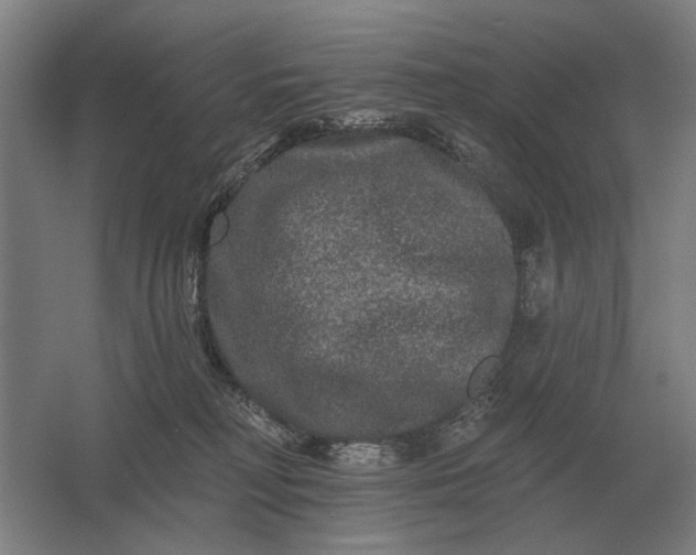 X0000061730230200512161631