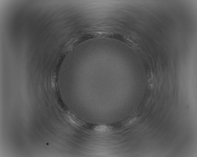 X0000061730231200512161631