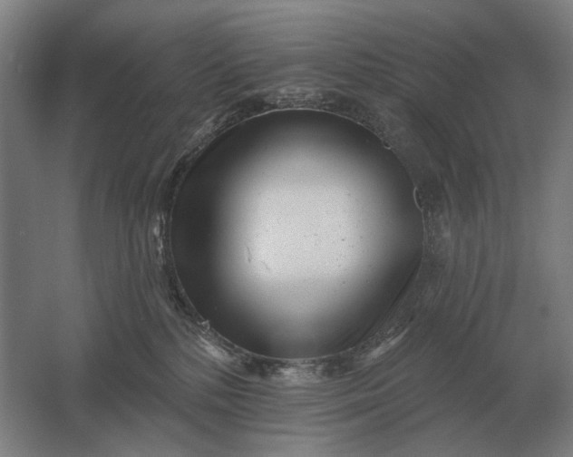 X0000061730232200512161631