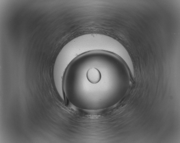 X0000061730233200512161631