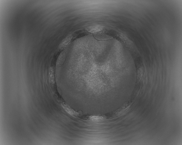 X0000061730234200512161631