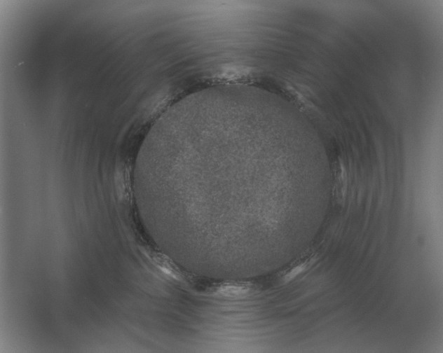 X0000061730236200512161631