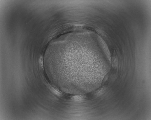 X0000061730238200512161630