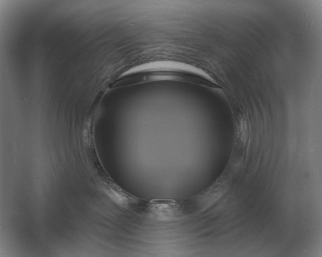 X0000061730239200512161630