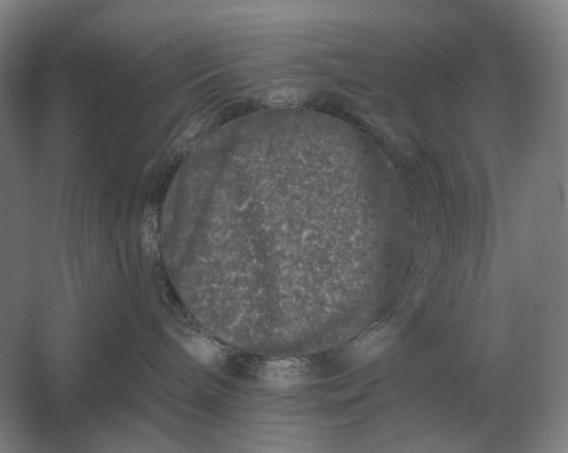 X0000061730240200512161630