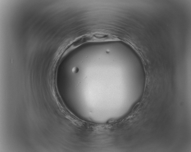 X0000061730241200512161630