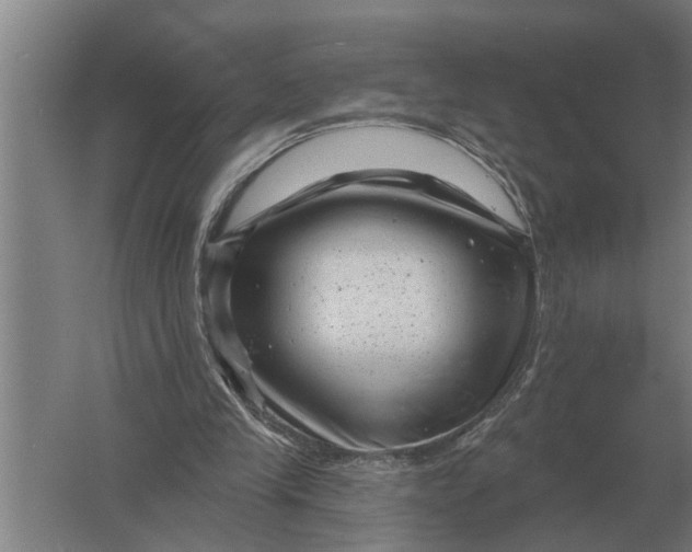 X0000061730245200512161630