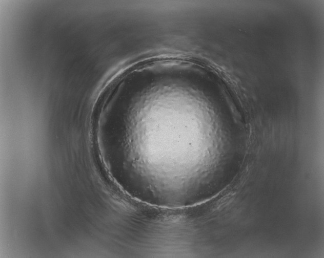 X0000061730247200512161630