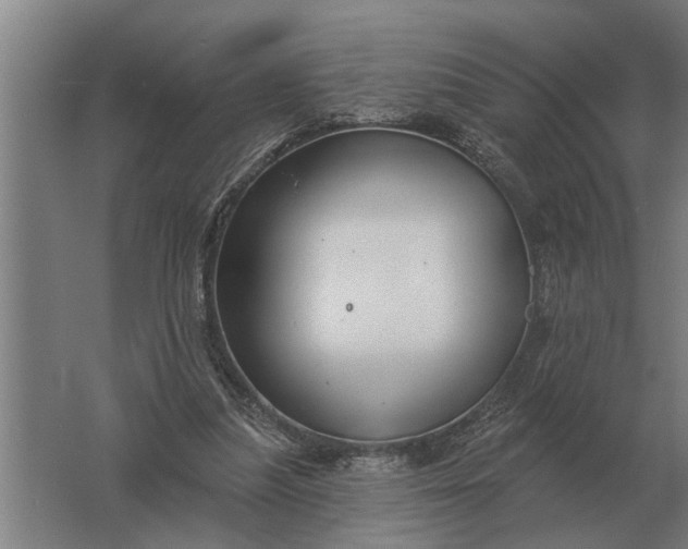 X0000061730251200512161630