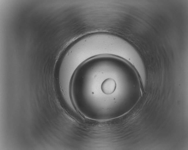 X0000061730252200512161630