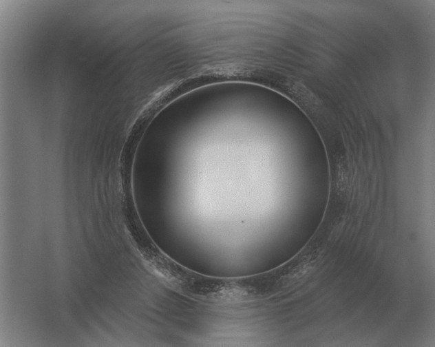 X0000061730256200512161630