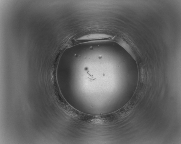 X0000061730259200512161630