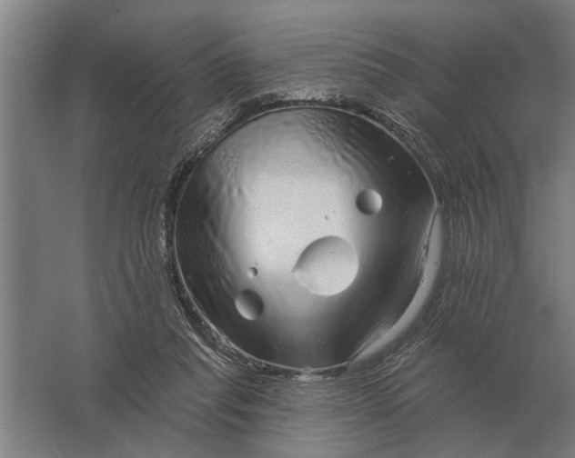 X0000061730261200512161630