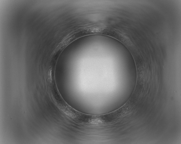 X0000061730262200512161630