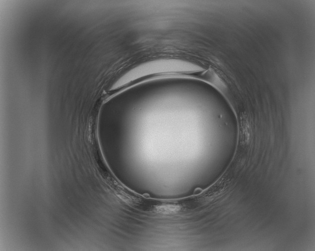 X0000061730266200512161630