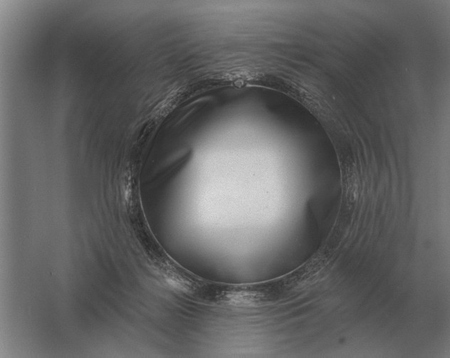 X0000061730268200512161630